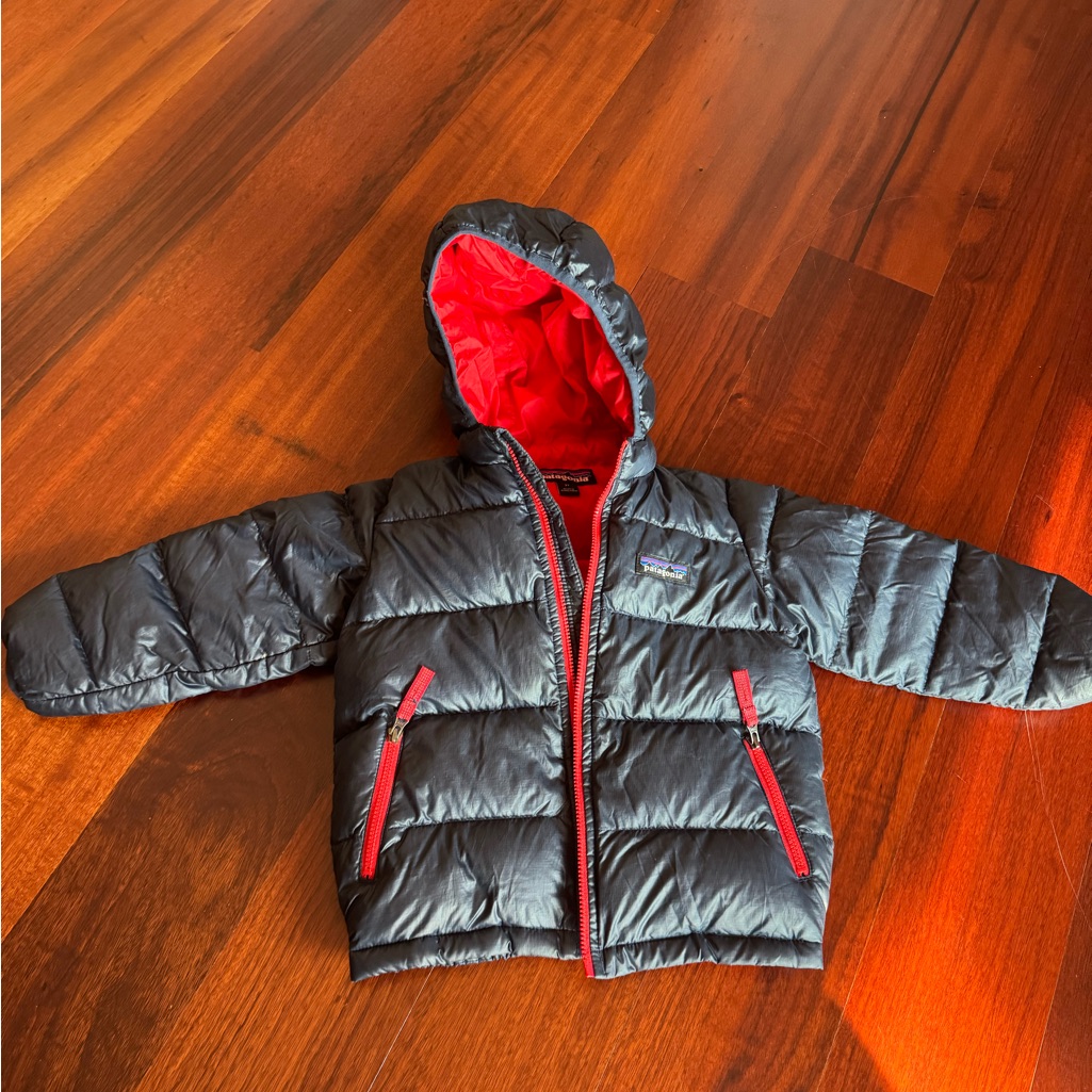 Patagonia Red And Navy Puffer Jacket